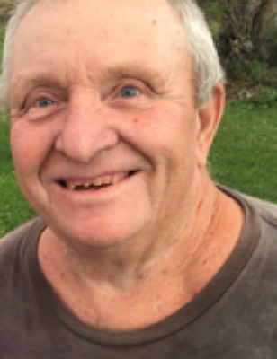 Frank H Lauman