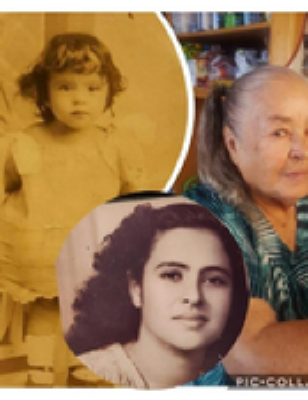 Blanca Emilia Fernandez De Mena Sierra Vista, Arizona Obituary