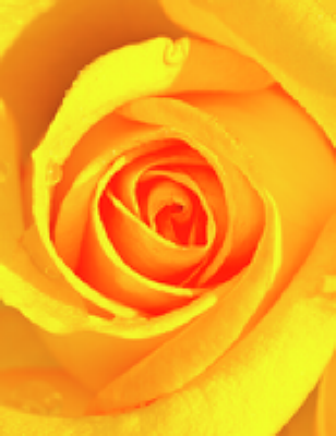 Carolyn Kay Anderson Saroni