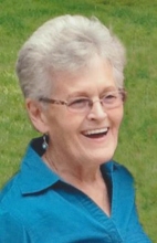 Donna M Meyer