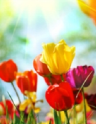 Watson King Funeral Home Rockingham North Carolina Funeral Homes Tribute Archive