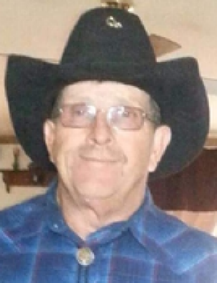 Ronnie L Young