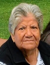 Maria Teresa Murillo