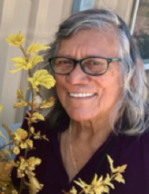 Maria Silvas Ammon, Idaho Obituary