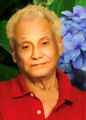 Julio Cesar Merlo