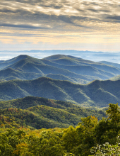 Brenda Lee Wayne Gastonia, North Carolina Obituary