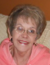 Susan Kay McElroy