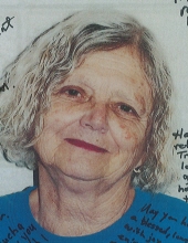 Carol Ann Blum Floyd