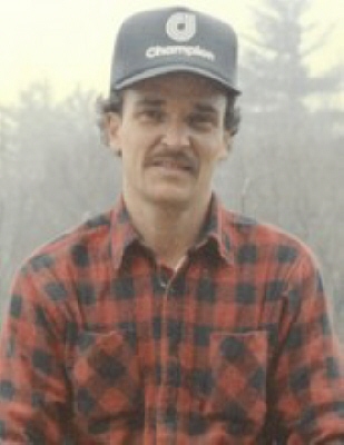 Wayne O. Warner Iron Mountain, Michigan Obituary
