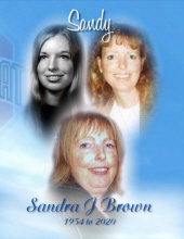 Sandra J Brown 19439986