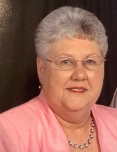 Nancy Sue Higgins