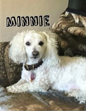 Photo of Minnie McClelland