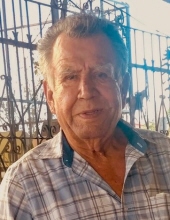 Pedro Molina Rosales