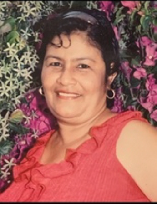 Adelina Mendez Jimenez 19537801