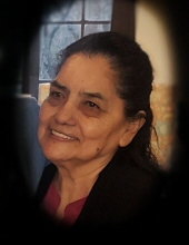 Carolina Martinez Campos 19553830