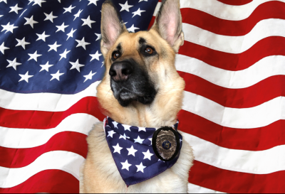 Photo of K-9 "King" Bartucca