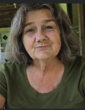 Linda  Faye Kneipp