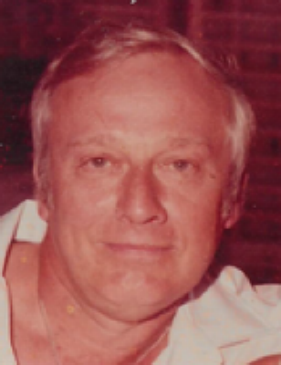 What is a dissertation picture