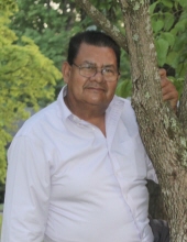 Alvino Cano González 19642440