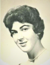 Patricia Hammock Fleckman 19649004