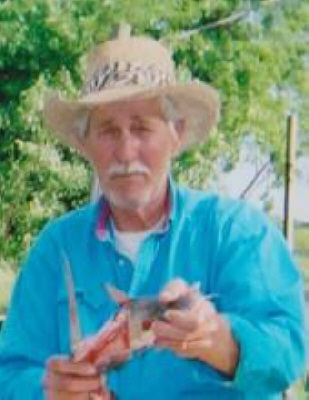 Roy Lee Martindale Cleburne, Texas Obituary