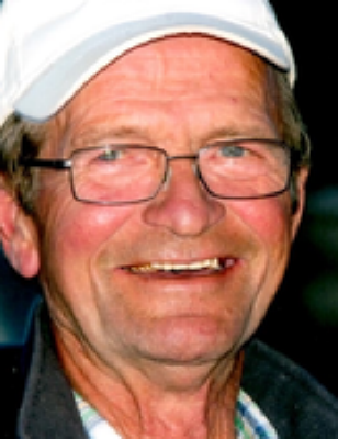 Nicolaas Gerrit Portiek
