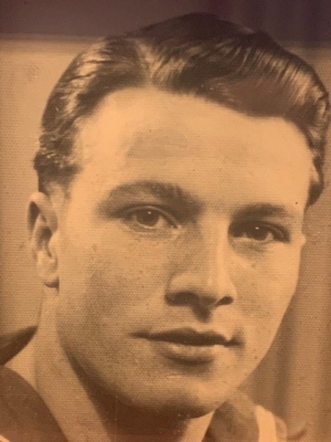 Photo of Denys Cousens