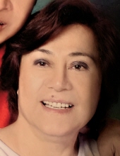 Elsa Ibarra Laurente