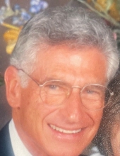 Seymour Palans 20035938