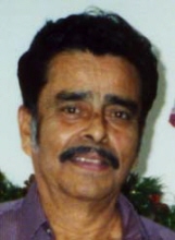 Rafael E Herrera