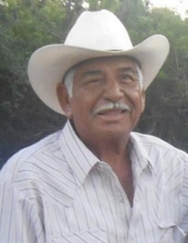Juan N. Martinez-Garcia