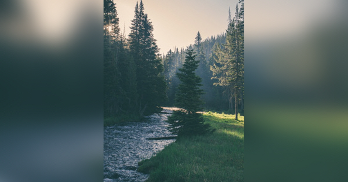 Chester Eugene Mcinturff Obituary Visitation Funeral Information