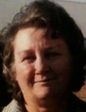 Judith A O'Brien 20619856