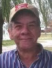 Ronnie Hosea Piggott, Arkansas Obituary
