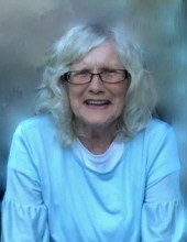 Judy Ann Willis