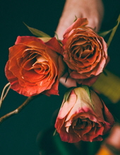 Judith M. Krause