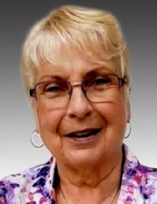 Janet Lou Danklefsen Coldwater, Michigan Obituary