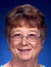 Nancy E. Dyer