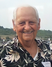 Lawrence  R.  DelRosso