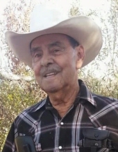 Robert C Bejarano