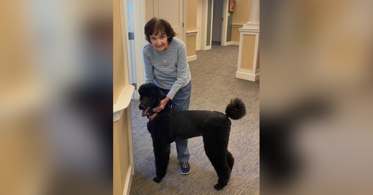 Obituary information for Phyllis M. Perkins