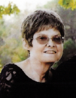 Colleen Sue Frey Virginia, Minnesota Obituary