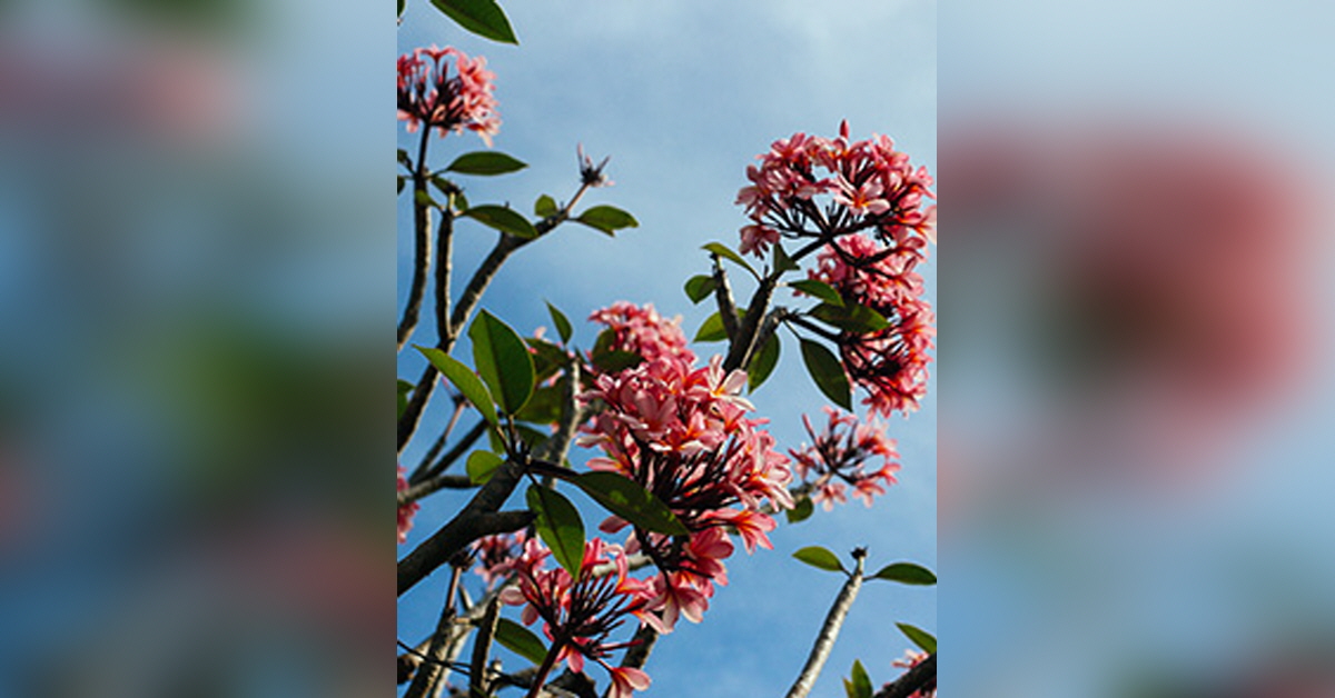 uecker witt funeral home obituaries
