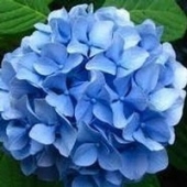 Jeanne B. Powell 21268854