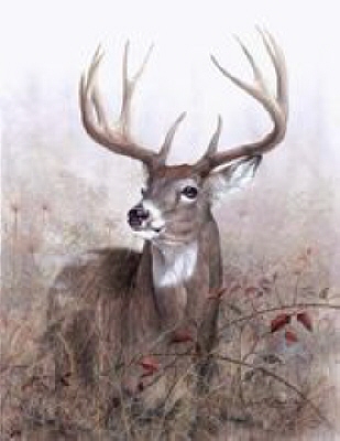 Randy Paul Bourgeois