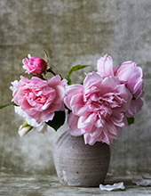 Janet Cochran Warren