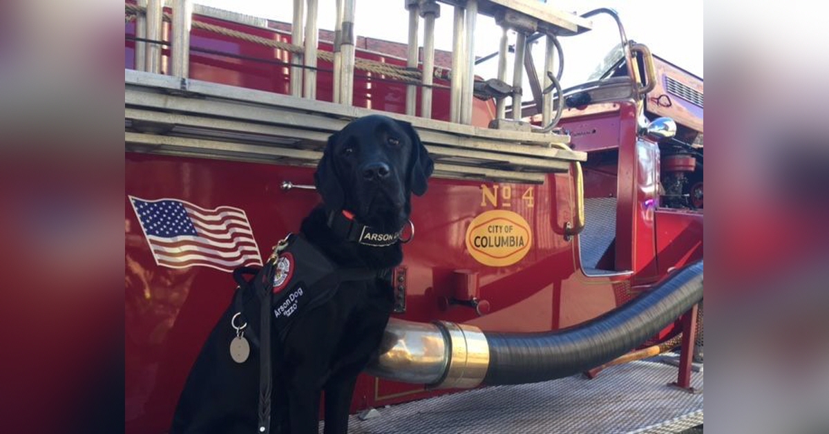 Obituary information for "Izzo" The Fire Dog