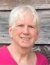 Judy Irene Dulaney