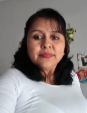 Maria Araceli Fernandez-Garcia 21619514