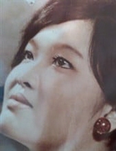 Mrs. Lan-Phuong Case